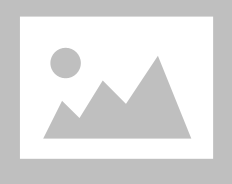 AlARD ALMUBARAKQ LLC